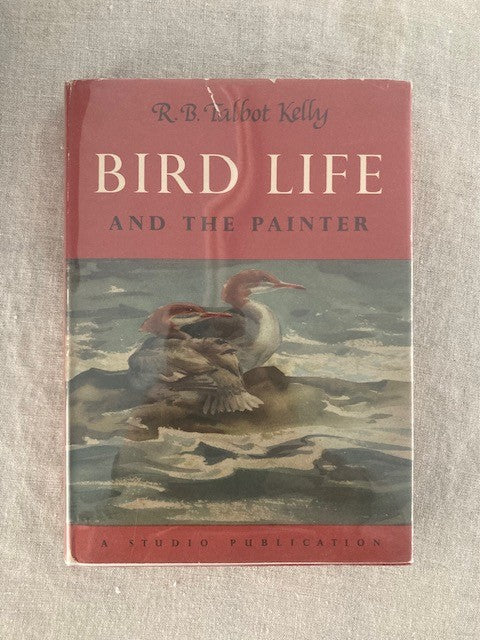 Bird Life and the Painter