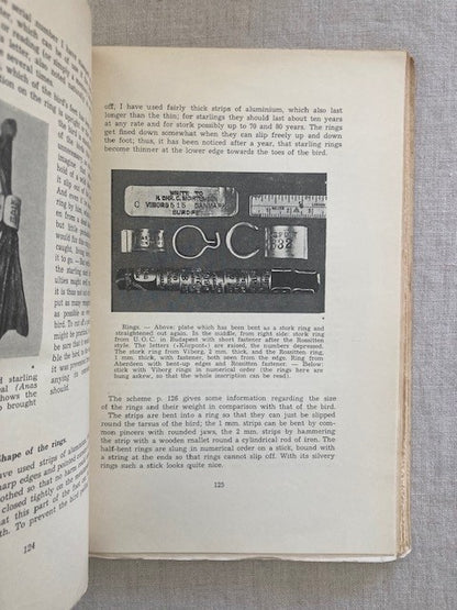 Studies in Bird Migration Being the Collected Papers of H. Chr. C. Mortensen