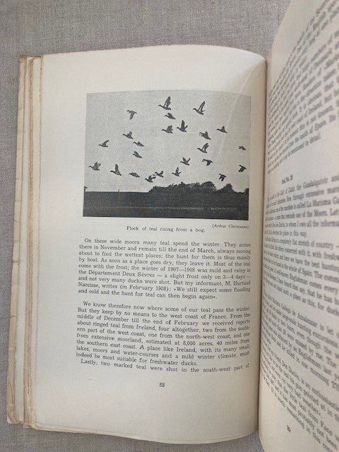 Studies in Bird Migration Being the Collected Papers of H. Chr. C. Mortensen