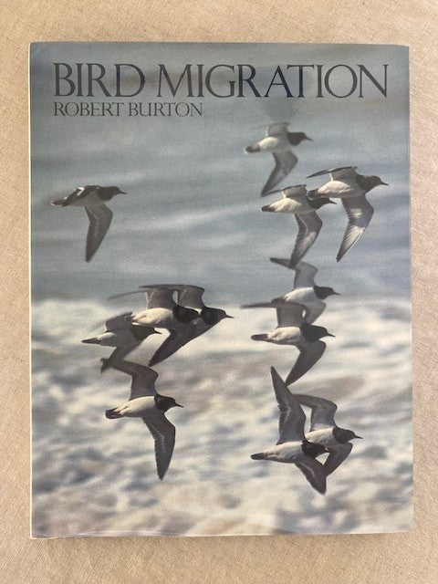 Bird Migration