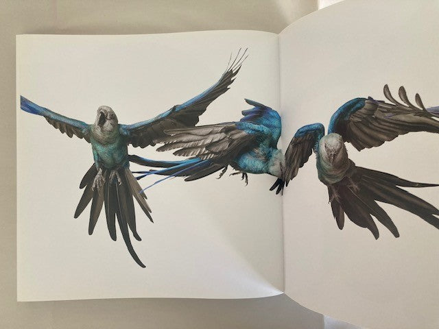 Bird