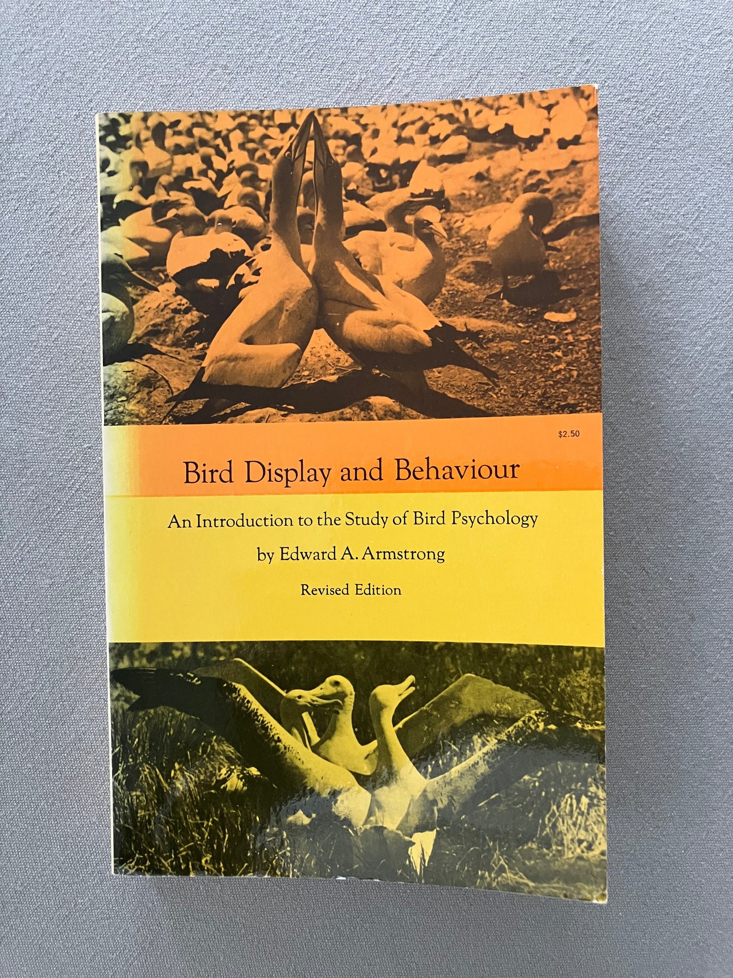 Bird Display and Behaviour: An Introduction to the Study of Bird Psychology