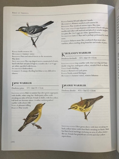 Birds of America