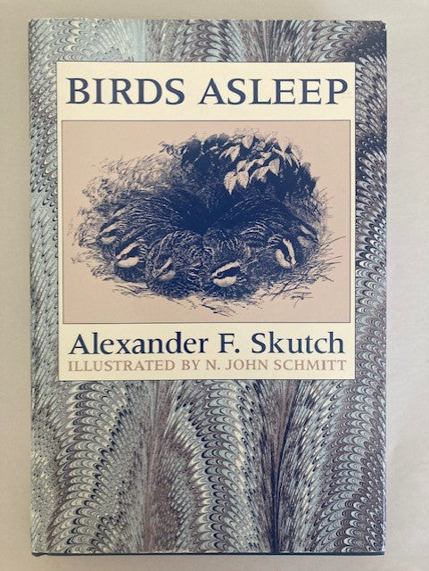 Birds Asleep
