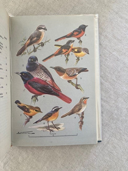 Field Guide to the Birds of the Eastern Himalayas