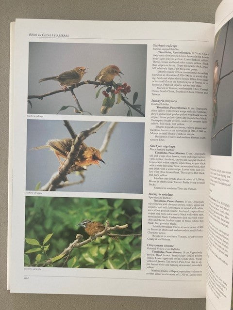 Birds in China