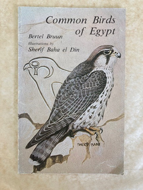 Common Birds of Egypt, First Edition