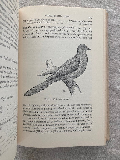 Birds of Malaysia