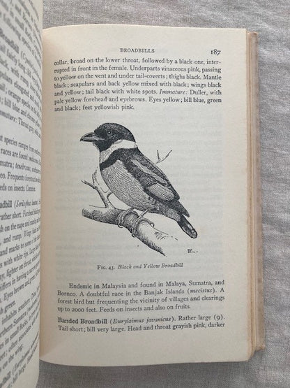 Birds of Malaysia