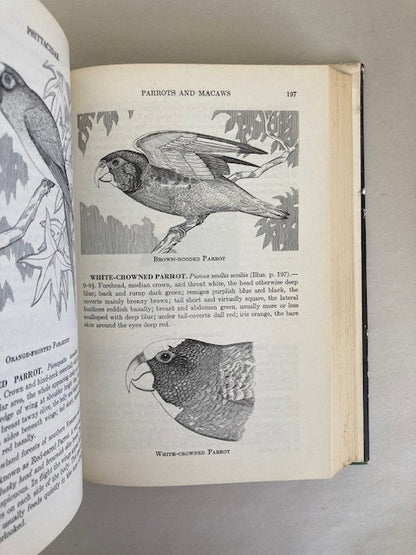 Birds of Mexico: A Guide for Field Identification