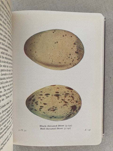 The Birds of the British Isles and their Eggs, Migration and Habits: Series I-III