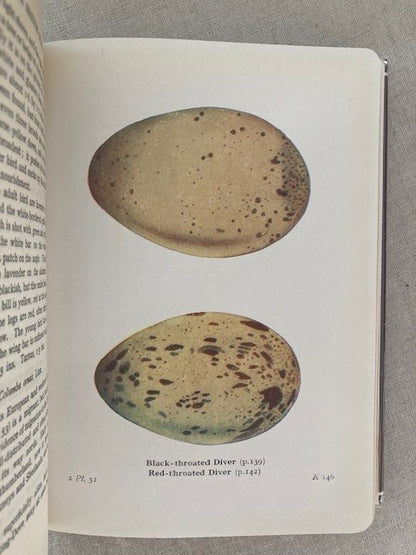 The Birds of the British Isles and their Eggs, Migration and Habits: Series I-III