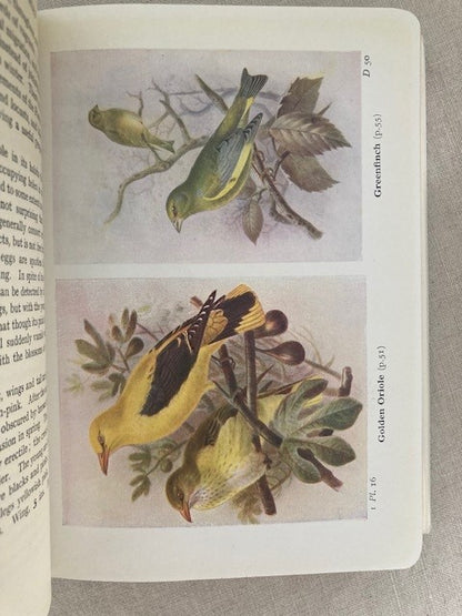 The Birds of the British Isles and their Eggs, Migration and Habits: Series I-III