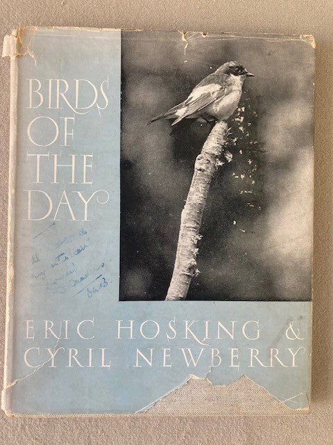 Birds of the Day