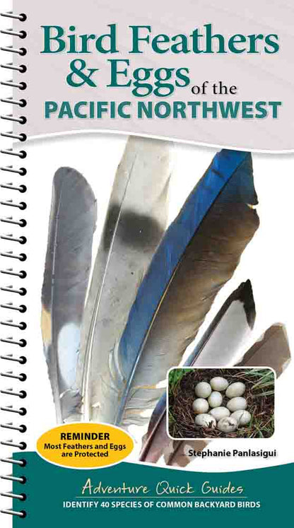 Bird Feathers & Eggs of...