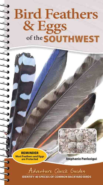 Bird Feathers & Eggs of...