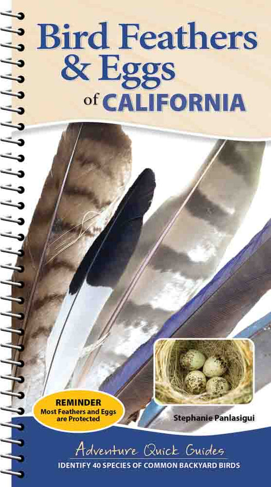 Bird Feathers & Eggs of...