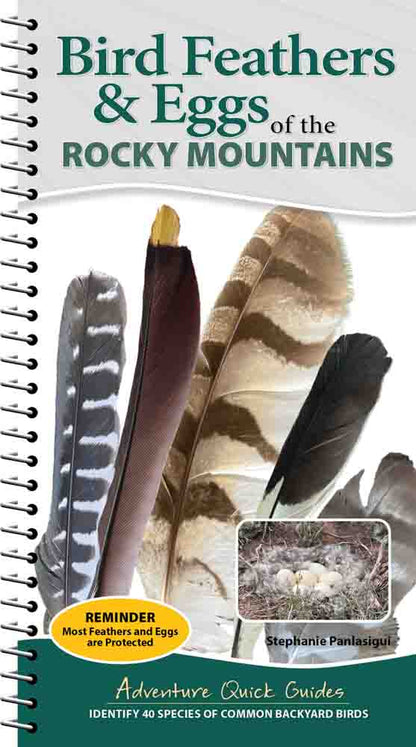 Bird Feathers & Eggs of...