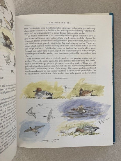 Birdscape