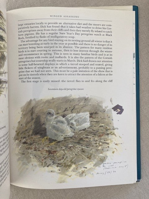 Birdscape