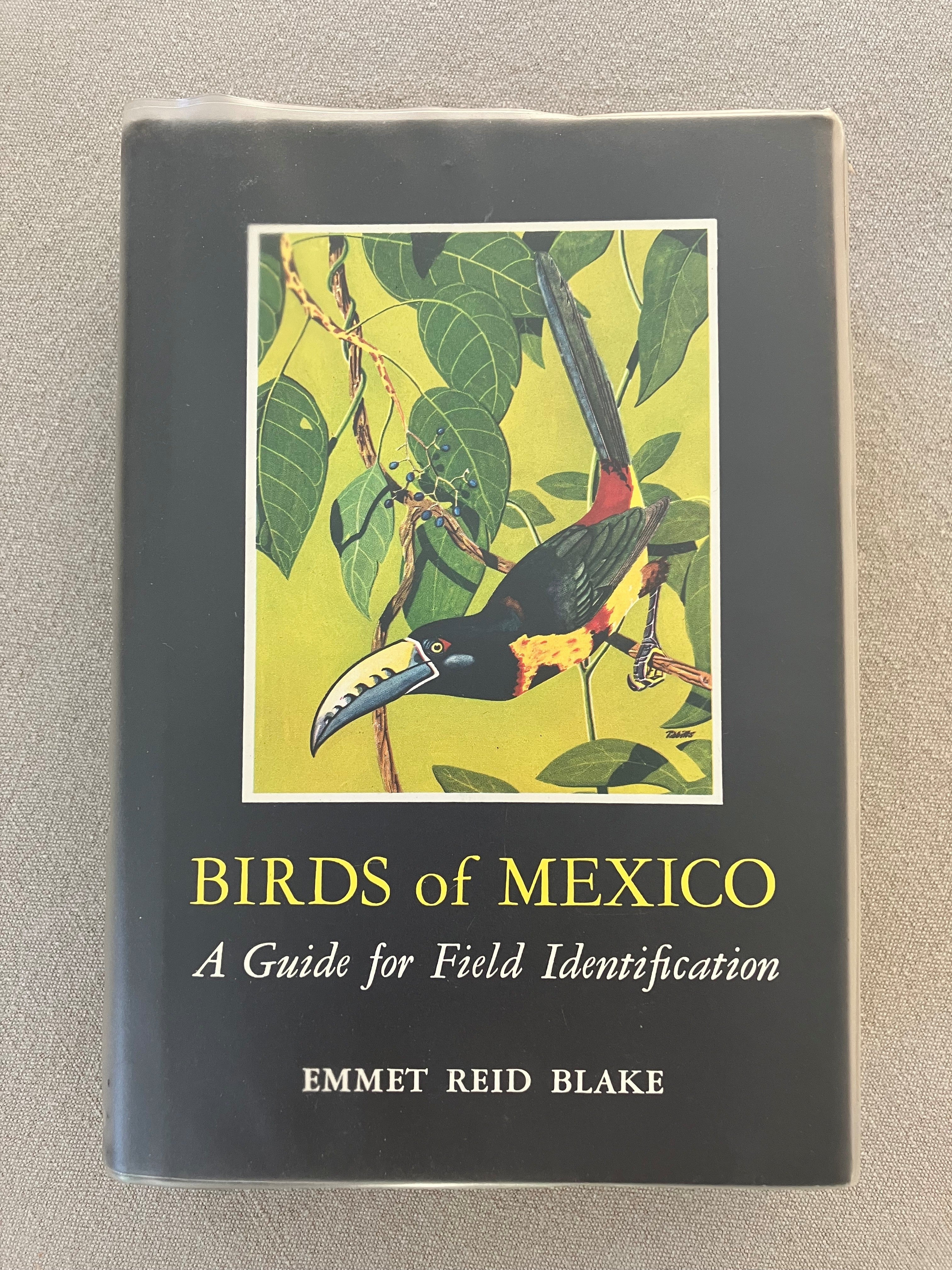 Birds of Mexico: A Guide for Field Identification – Buteo Books