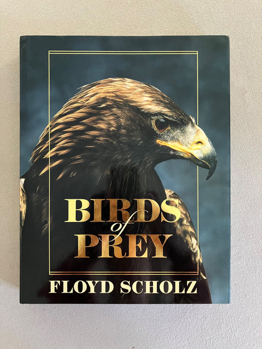 Birds of Prey: An Artist's Guide to Understanding Raptors