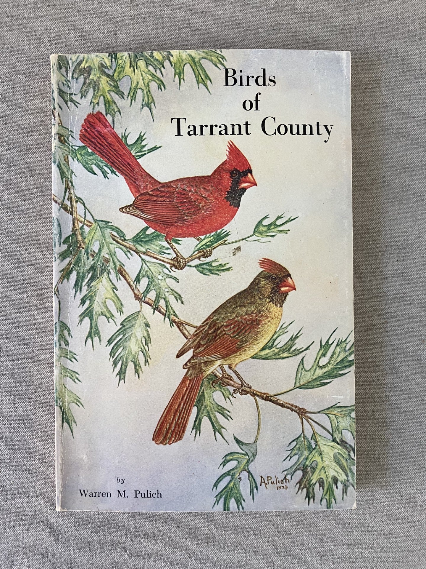 Birds of Tarrant County