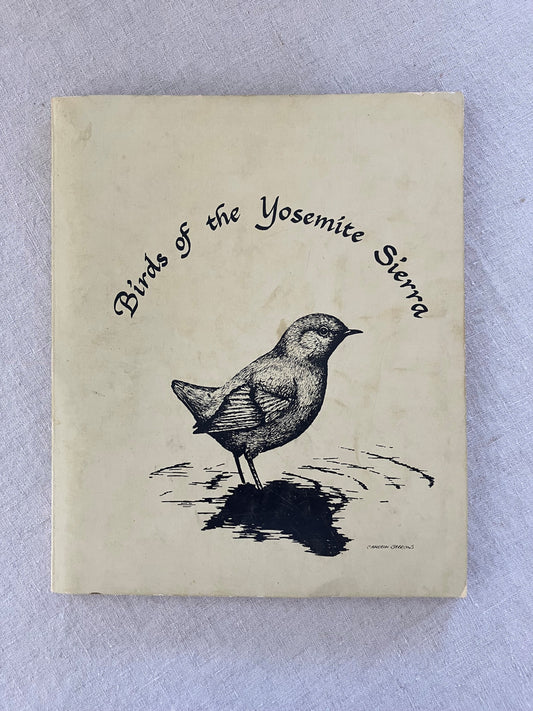 Birds of the Yosemite Sierra