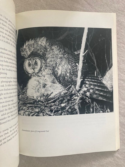 The Book of Owls