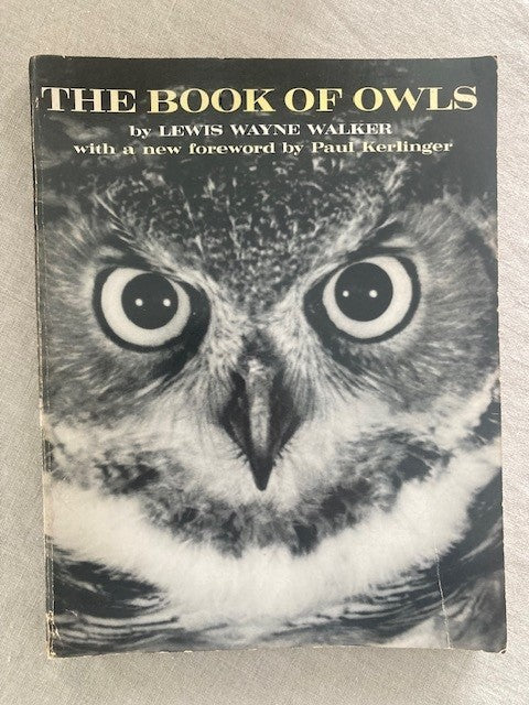 The Book of Owls