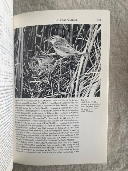 British Warblers. New Naturalists 71
