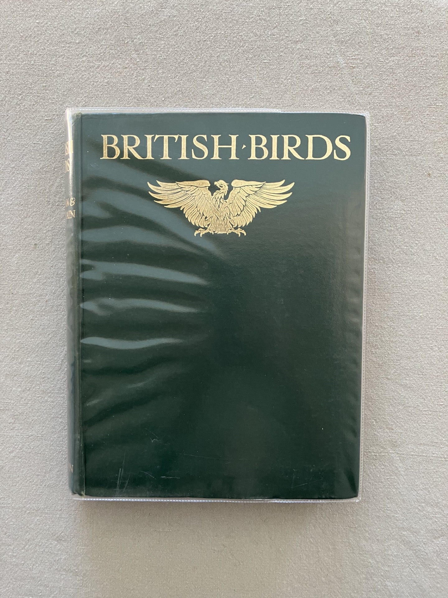 British Birds