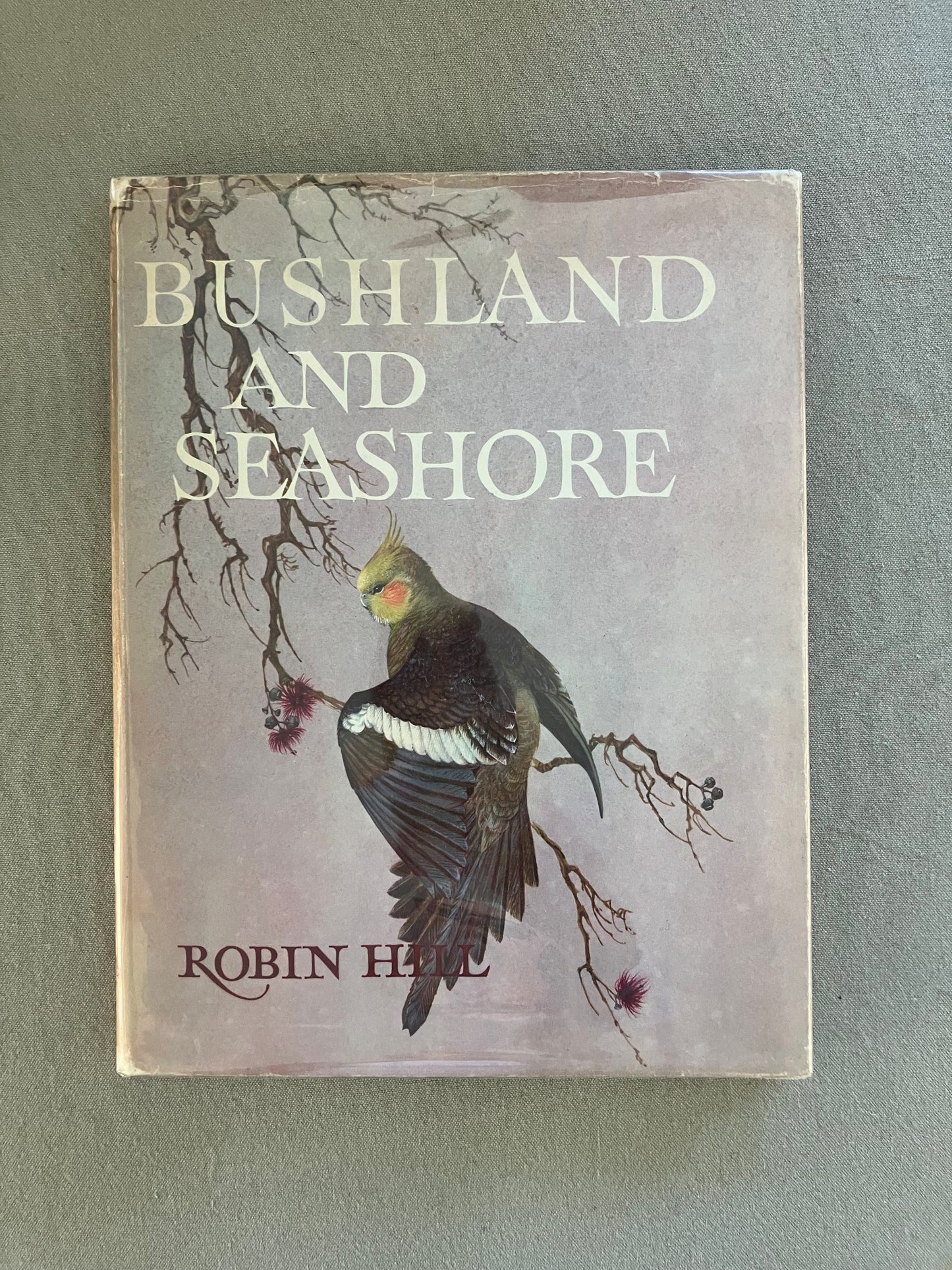 Bushland and Seashore: An Australian Nature Adventure