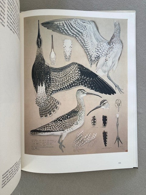 Tunnicliffe's Birds: Measured Drawings by C.F. Tunnicliffe