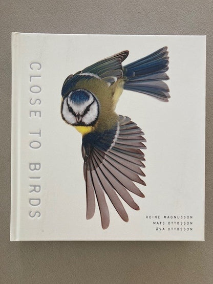 Close to Birds: An Intimate Look at Our Feathered Friends