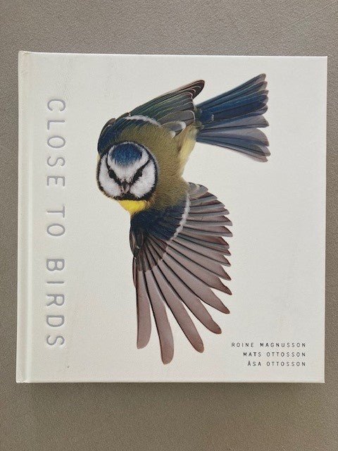 Close to Birds: An Intimate Look at Our Feathered Friends