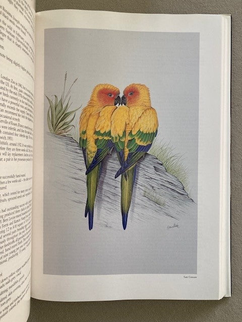 A Monograph of Macaws and Conures
