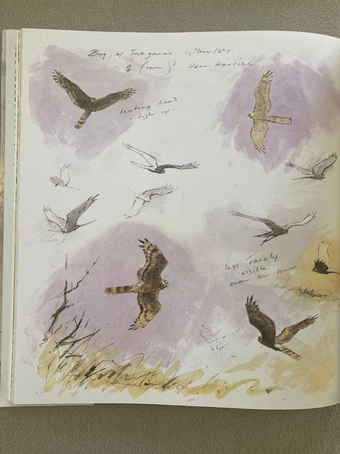 The Countryside in Winter