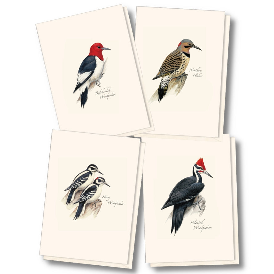 Notecard Set: Peterson Woodpecker Assortment