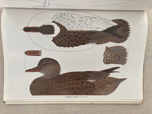 Decorative Decoy Designs: Dabbling and Whistling Ducks (Volume I)