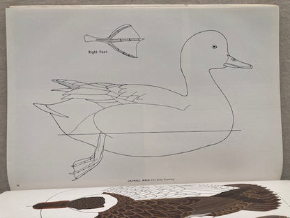 Decorative Decoy Designs: Dabbling and Whistling Ducks (Volume I)