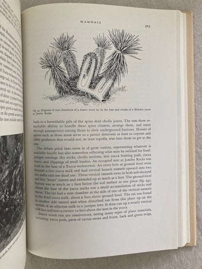 The Lives of Desert Animals in Joshua Tree National Monument