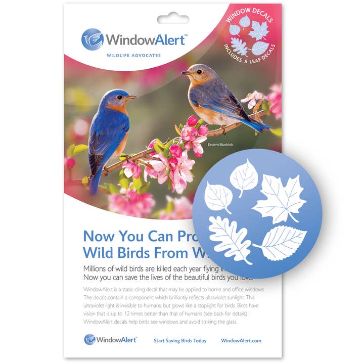 Window Decals
