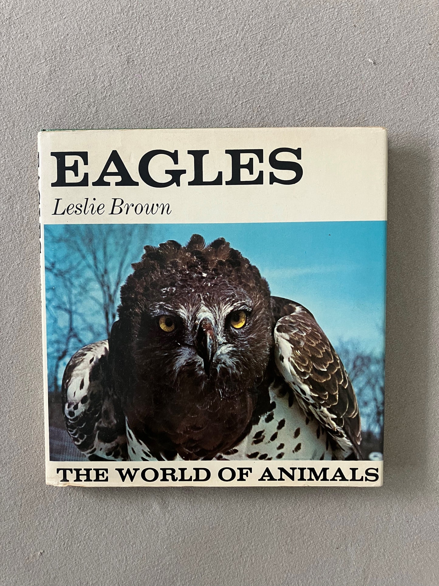 Eagles: The World of Animals