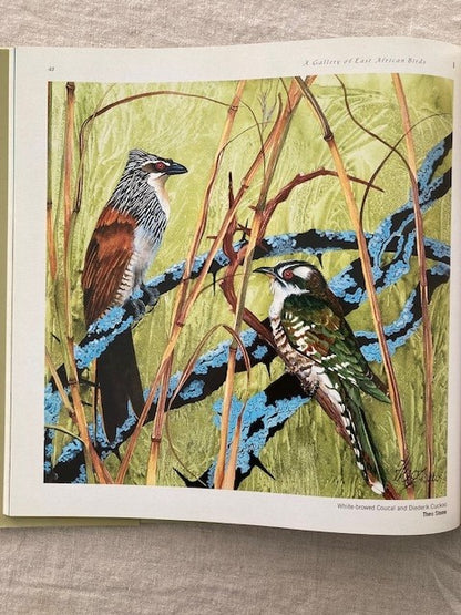 A Gallery of East African Birds