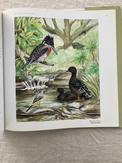 A Gallery of East African Birds