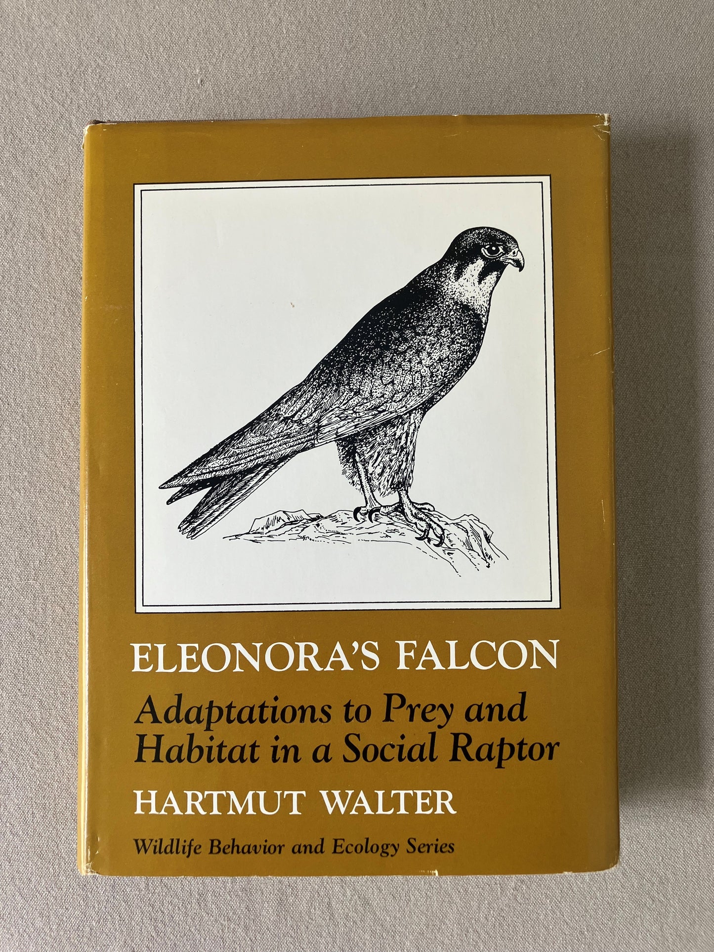 Eleonora's Falcon: Adaptations to Prey and Habitat in a Social Raptor