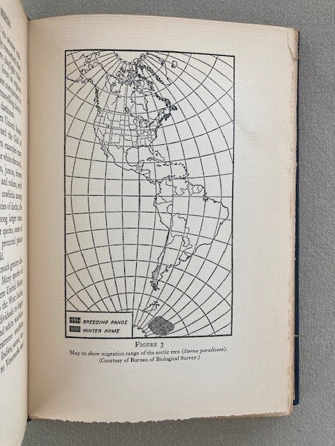 The Migrations of Birds