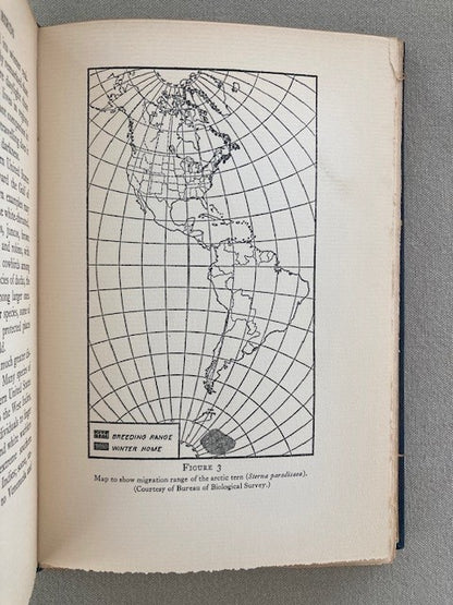 The Migrations of Birds