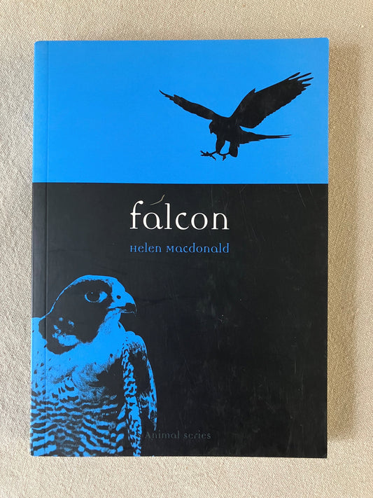 Falcon